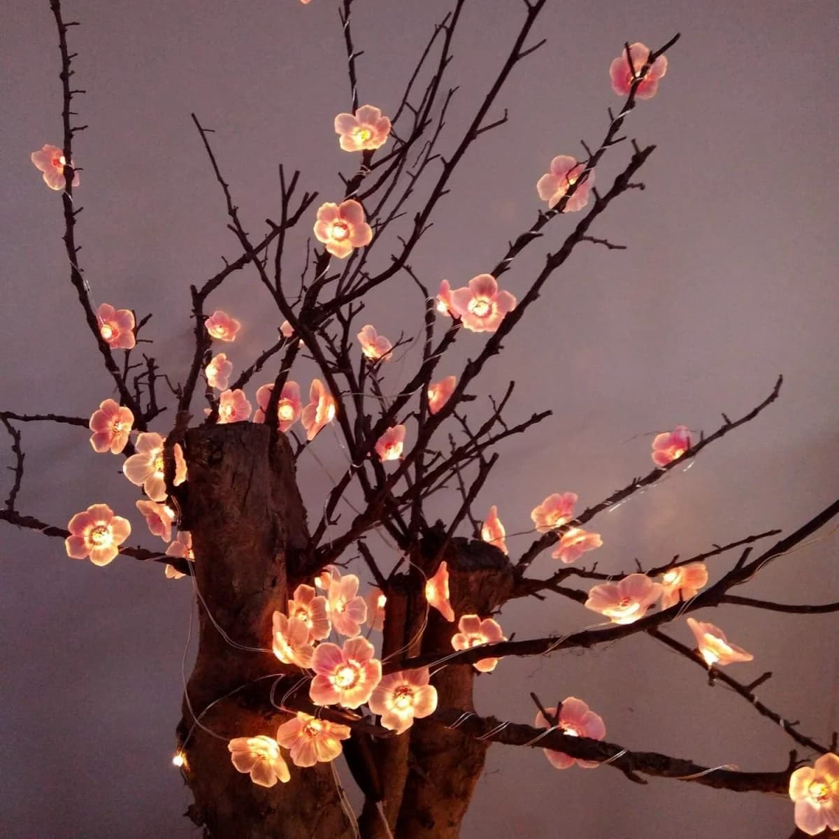 Lampu Hiasan Fairy 10-LED Bunga Sakura Merah Jambu, Bateri